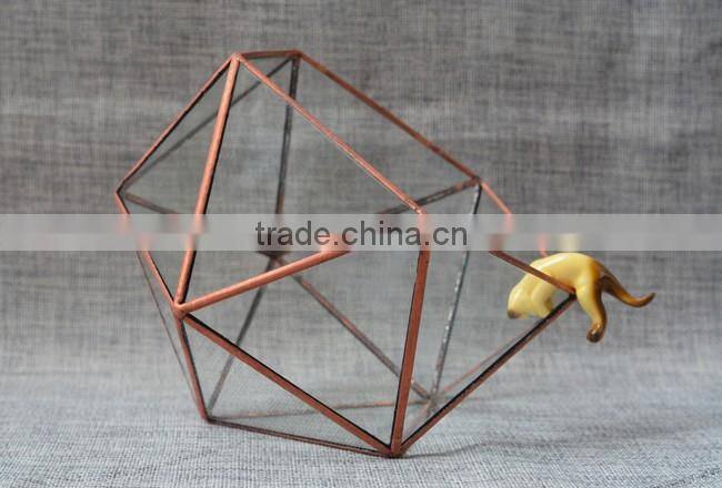 Home design clear glass terrarium succulent plants greenhouses