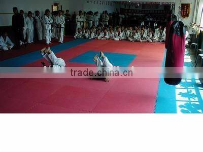 hot sale high quality odorless good price non toxic eva tatami puzzle mat