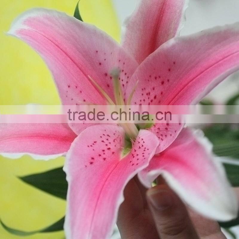 Best Selling Flower Adorable Fresh Cut Lily Mother's Day Gift Natural Lily From Yunnan