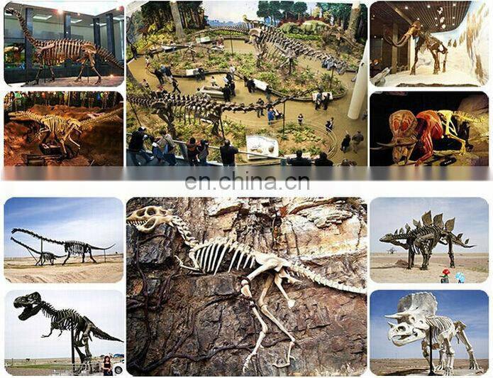 2016 life size realistic t-rex dinosaur skeleton model for sale
