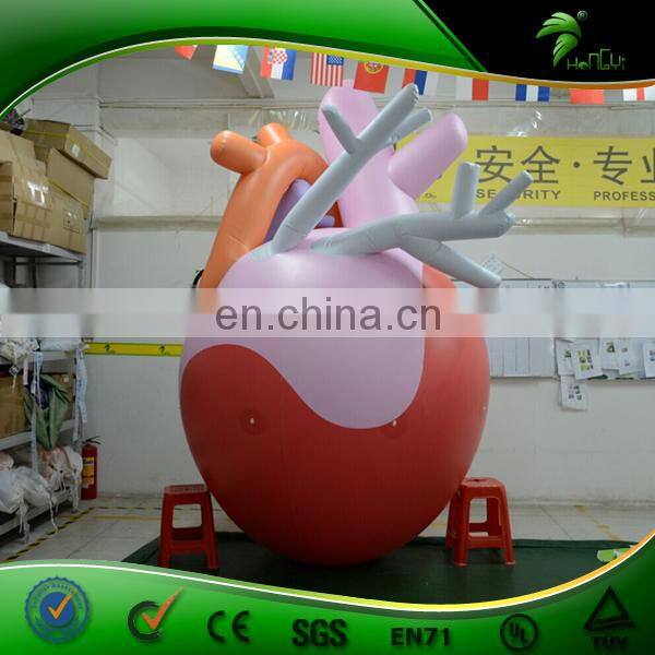 Large Inflatable Heart Organ Replica Balloon Artificial Custom Organ Model Inflatables PVC Advertising Toys Ball