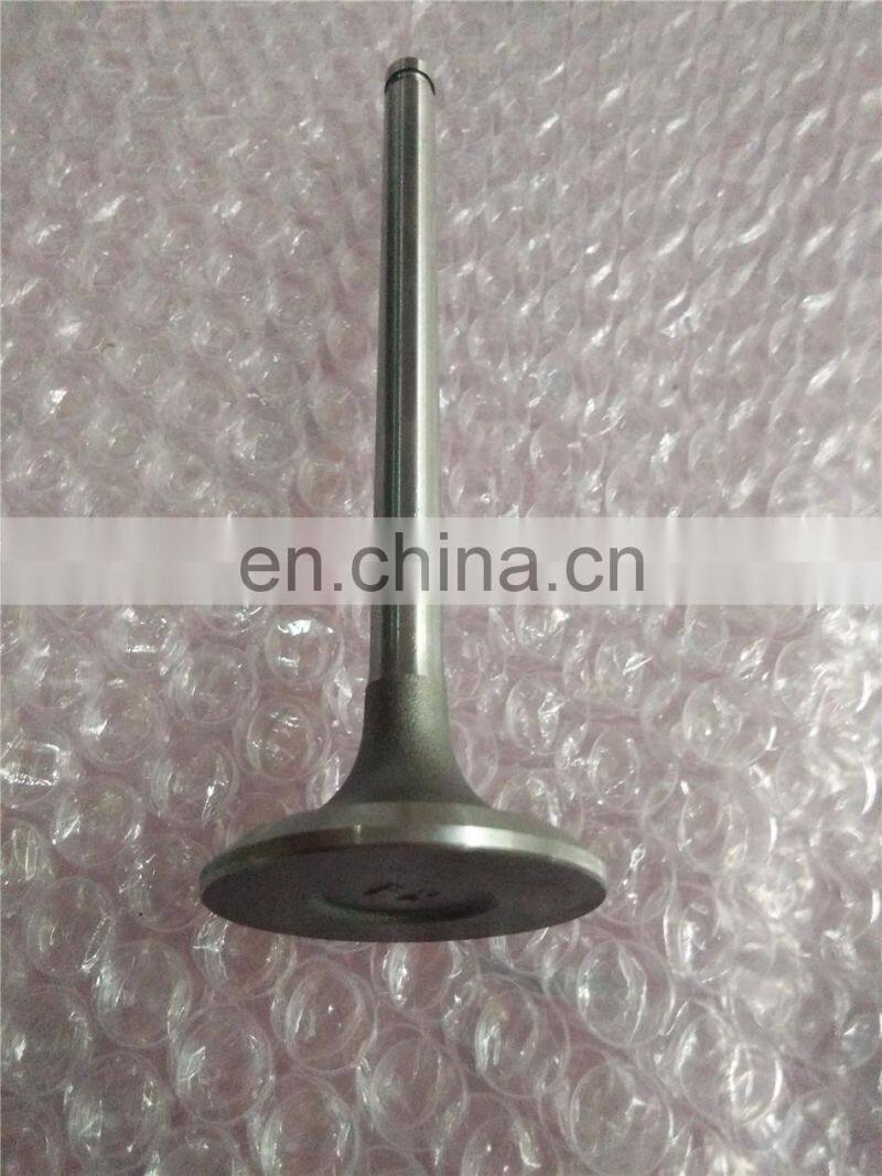 B3.3 Engine Parts Intake Valve 6207414110 6207414130