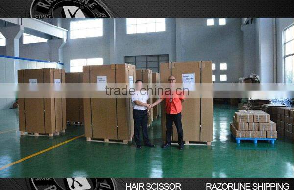 Razorline SUS440C Hair thinner Scissors, hotest salon beauty shears, best quality Japanese barber cutting scissor