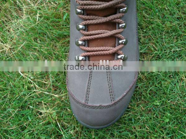 2012 new fashion hiking shoes/Climbing shoes/Trekking shoes