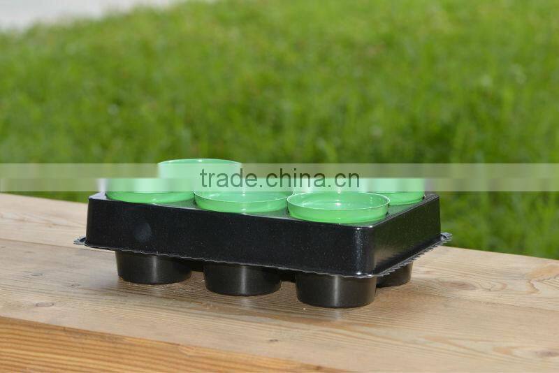 biodegradable plastic seeder tray