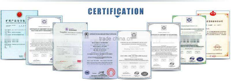 Wenzhou factory H03VVH2-F 2X0.75mm2 in power Cables