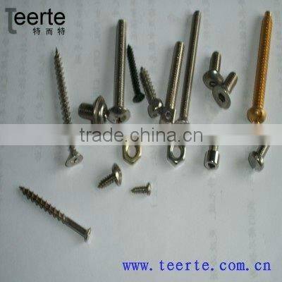 All Kinds of Stainless Steel Screw