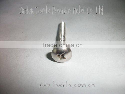 Truss head self tapping screw in best selling