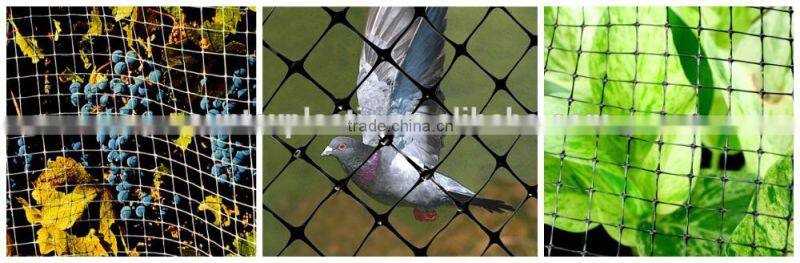 100% original HDPE raw material with UV additives Crop protection anti bird net jaring pelindung tanaman