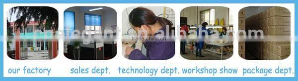 Elegant Fishing Tackle 2015 New Product HYZ-100 Bait Boat