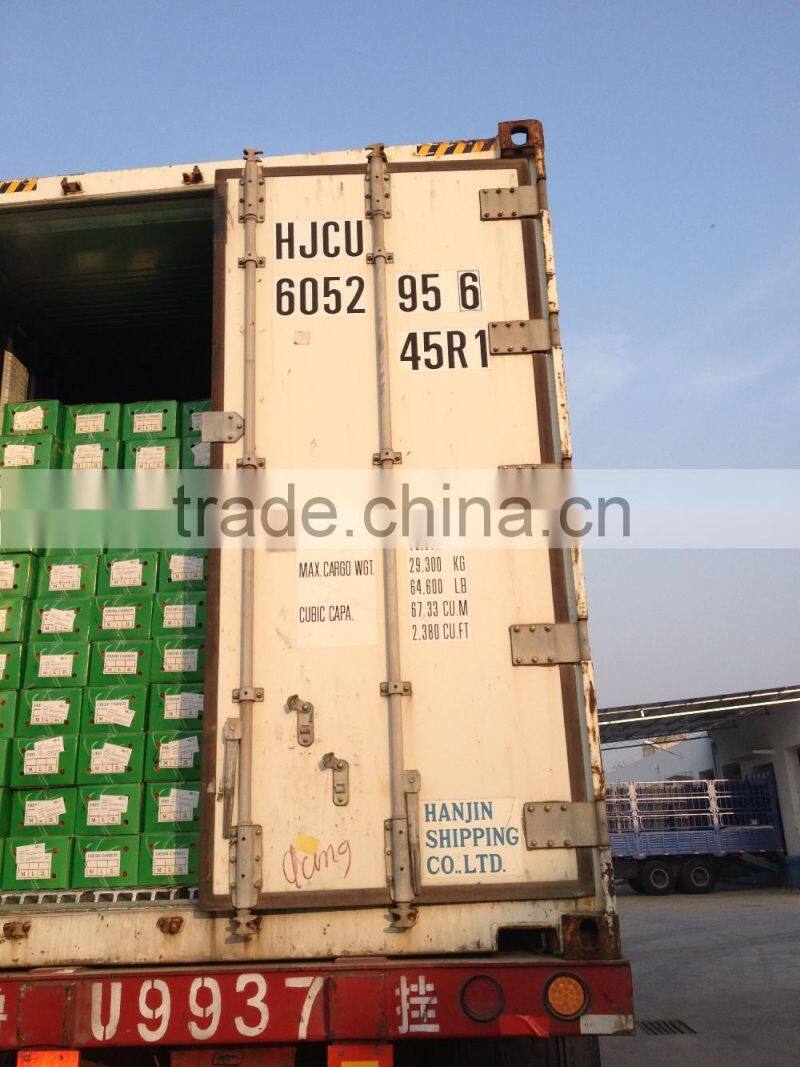 red carrot export from china