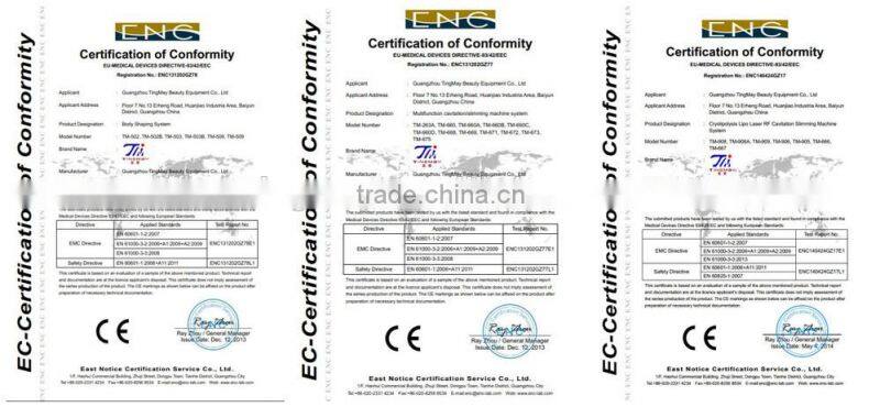 Portable cryo cavitation rf lipo laser cryolipolysis/cryolipolysis machine