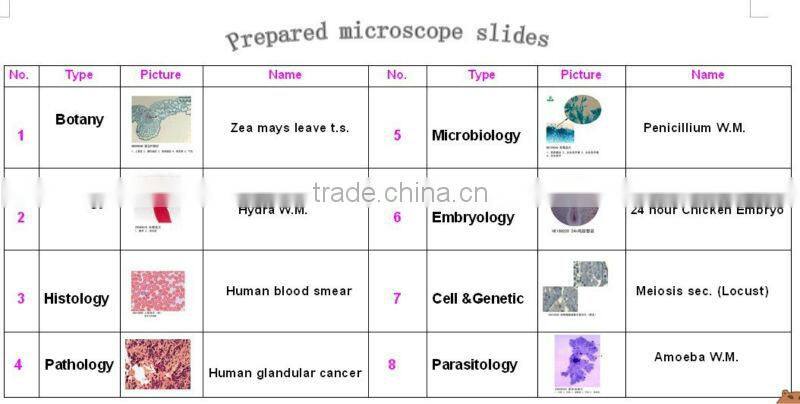 anatomical teaching aids prepared microscope slides