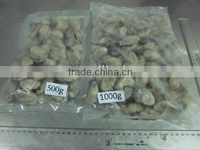 frozen oyster meat without shell