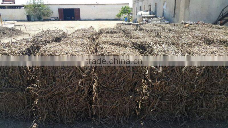 Licorice Root Exporters from India