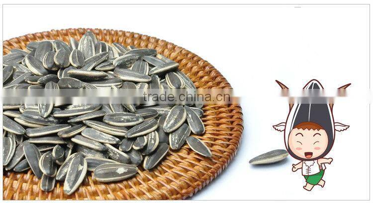 Hulled sunflower seeds for human eat