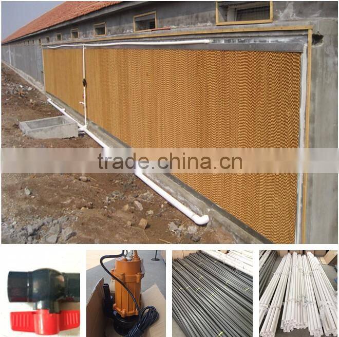 Chicken poultry housing system