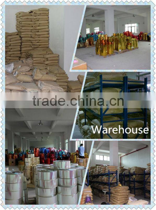 Wholesale bulk Fine PET Colorful glitter powder