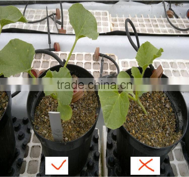 90%min Water soluble humic acid