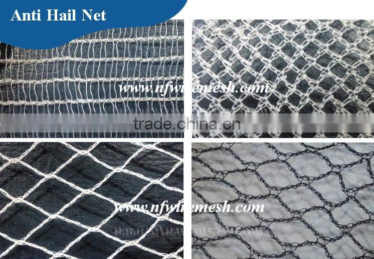 Hdpe net 25 x25 mm mesh hole agricultural bird netting (Guangzhou Factory)