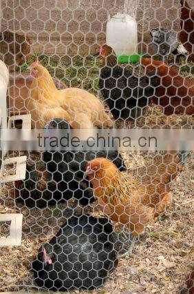 Anping Longyi factory twist chicken wire mesh/double twisted hexagonal gabion mesh(ISO factory & exporter)