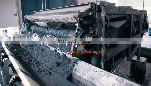 Polyester Press Filter Belt