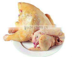 2013 hot sale chicken plucker machine