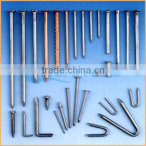 Manufacture high quality low price iron nail 1 kg per box 25kgs per carton factory price