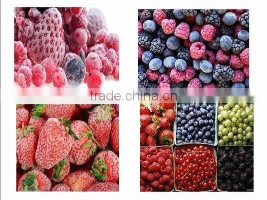 Pre-production equipment frozen vegetable production line