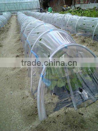 plastic gardeners cloche film