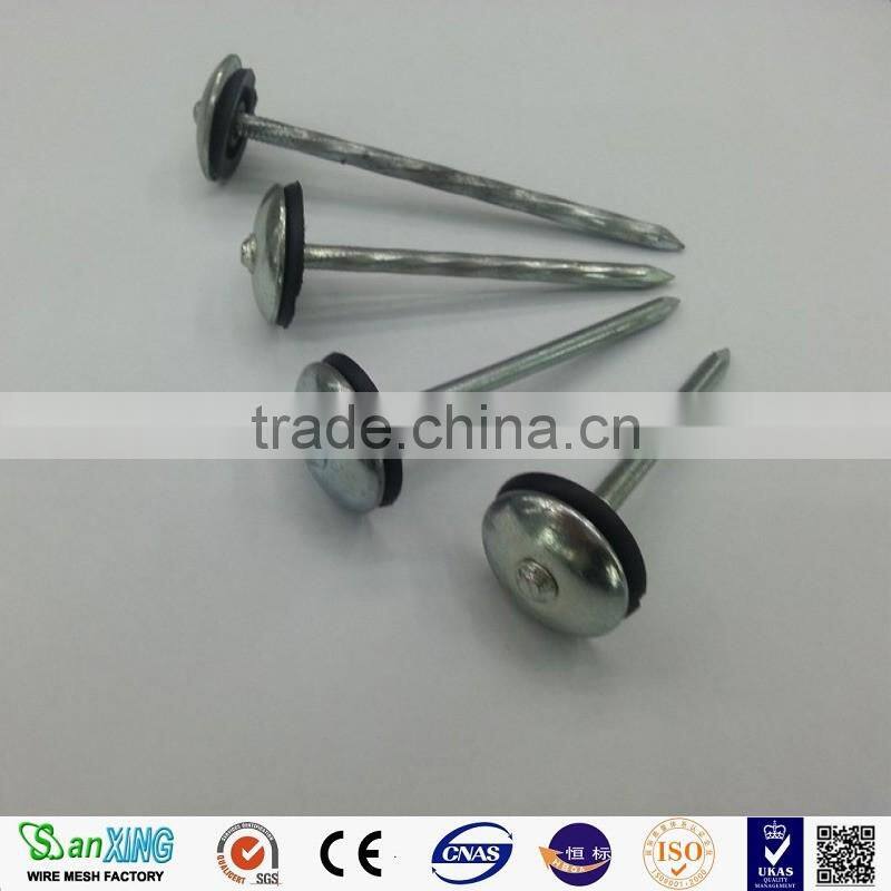 Antirust/Strong/electro galvanized umbrella head roofing nails with twist shank