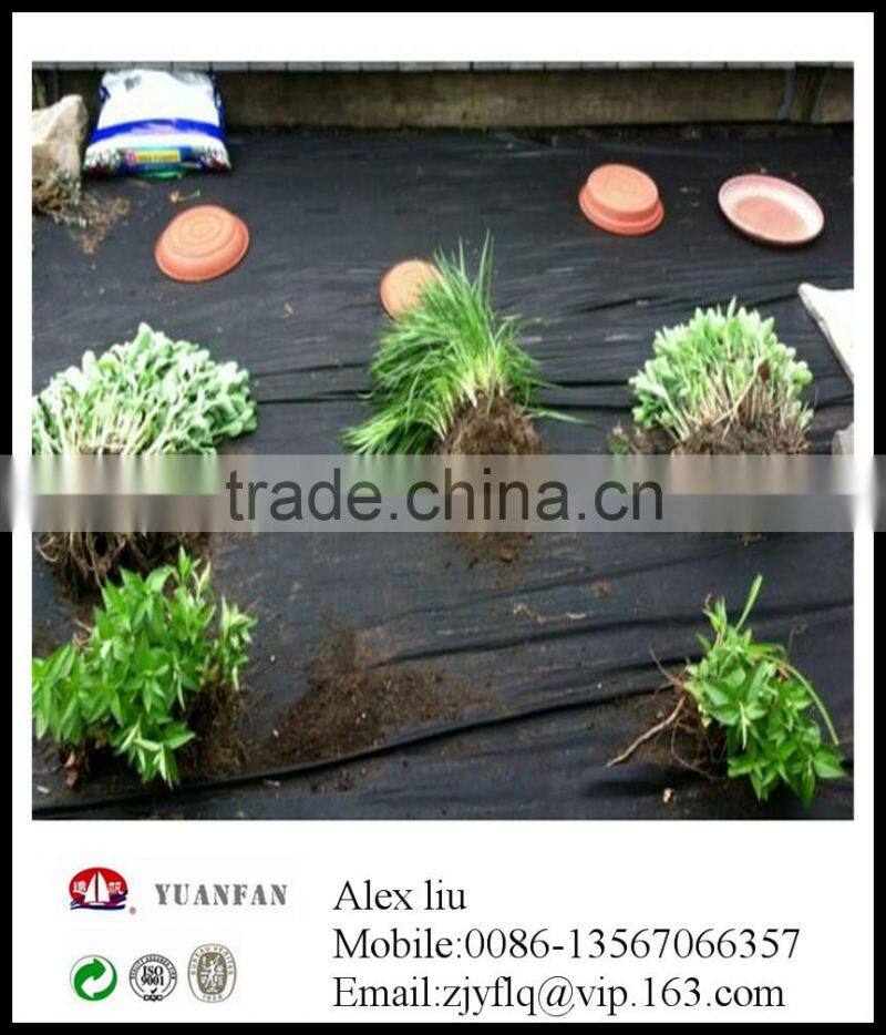 agriculture black plastic film made in the Factory in zhejiang province of China