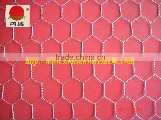 Hexagonal wire mesh (factory)