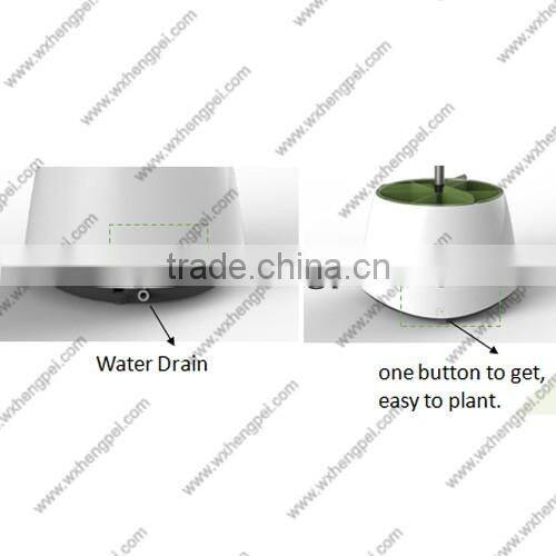 Mini hydroponic smart garden