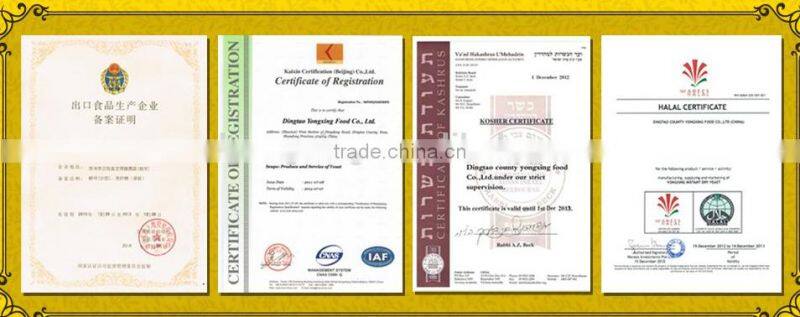 China Halal, Kosher FDA bakery instant dry yeast manufacturer