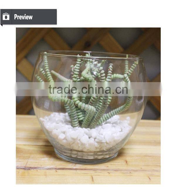 artificial preserved succulents artificial potted mini succulent plants hot sale artificial potted plants