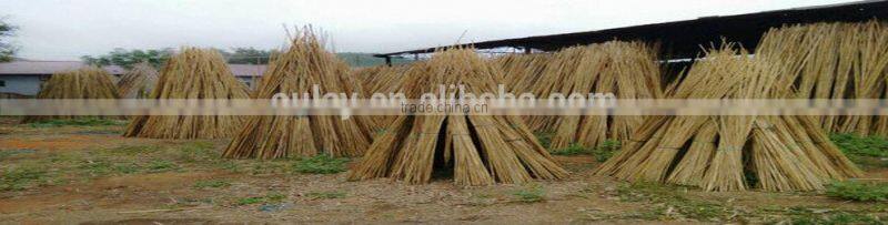 bamboo garden sticks with plastic caps