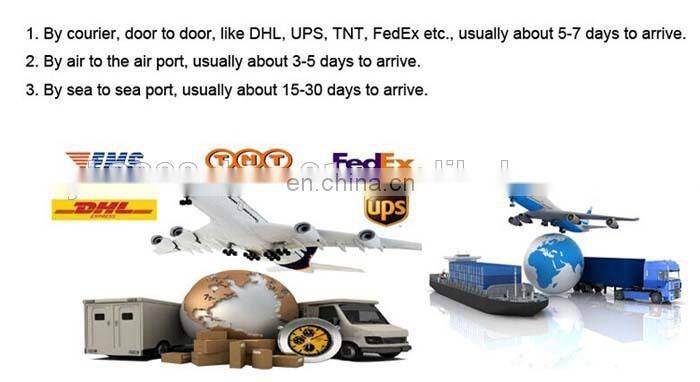 Plush green shell turtle with glasses