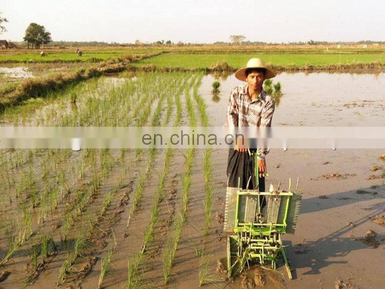 Portable Manual Thailand Rice Transplanter Sold in Malaysia