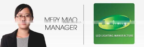 2016 New product LED lighting lighting led solar led street light