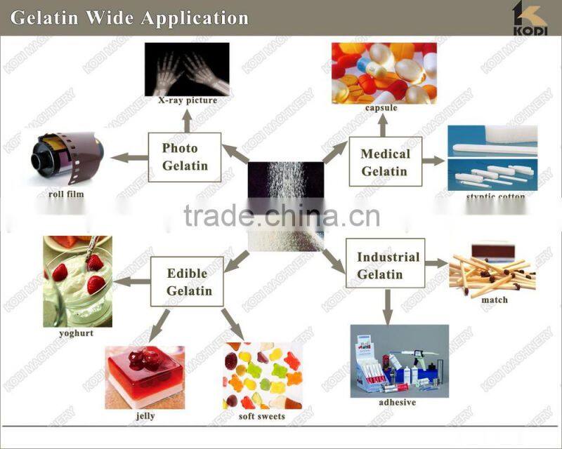KODI High Quality Skin Gelatin Production Line