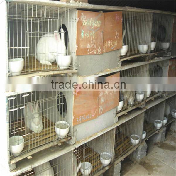 professional manufacture rabbit cage for poultry farm shed