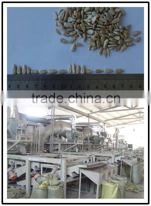 Confectionery Sunflower Seed Kernels 2015 new crop