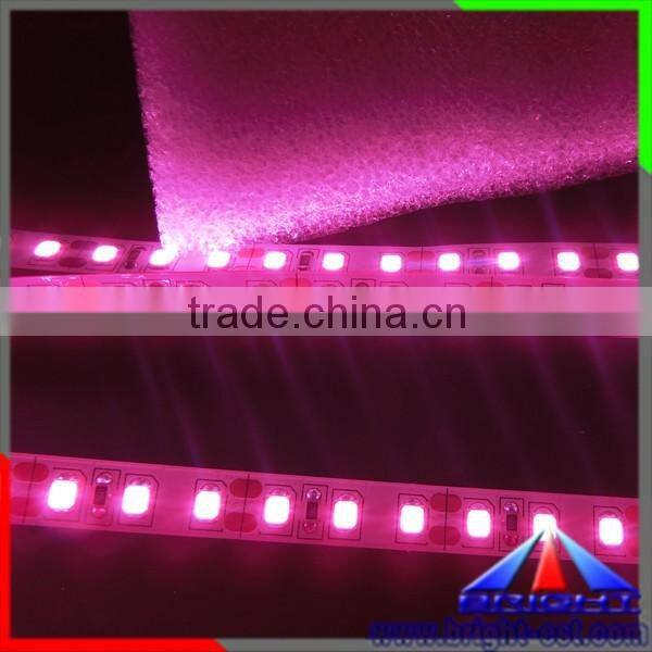 SMD2835 LED Pink Color Strip Light,Flexible LED Strip Pink