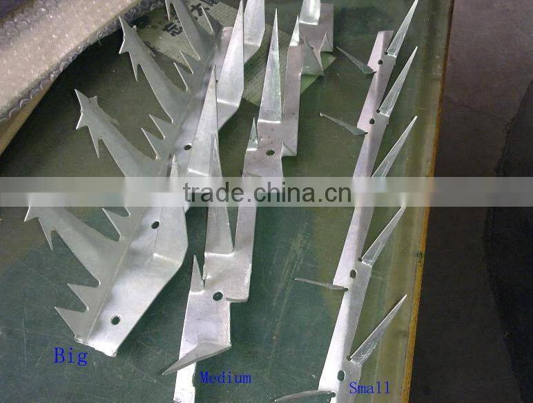 high quality and hot sale Electro Galvanised Wall Spikes,Razor Spike,High Quality Anti Climb Spikes