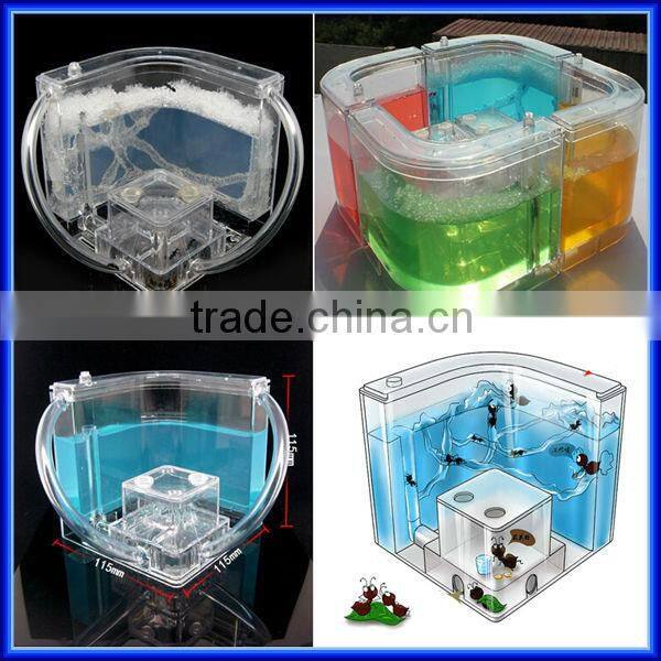 High quality Wholesale Magic Toy Ant Farm for children Education of Ant Worker