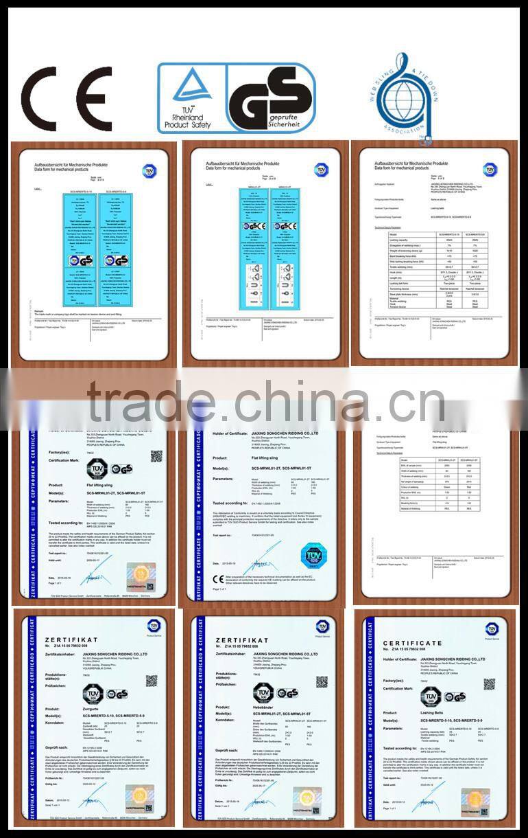 Cam buckle strap/lashing strap 1" X 12'