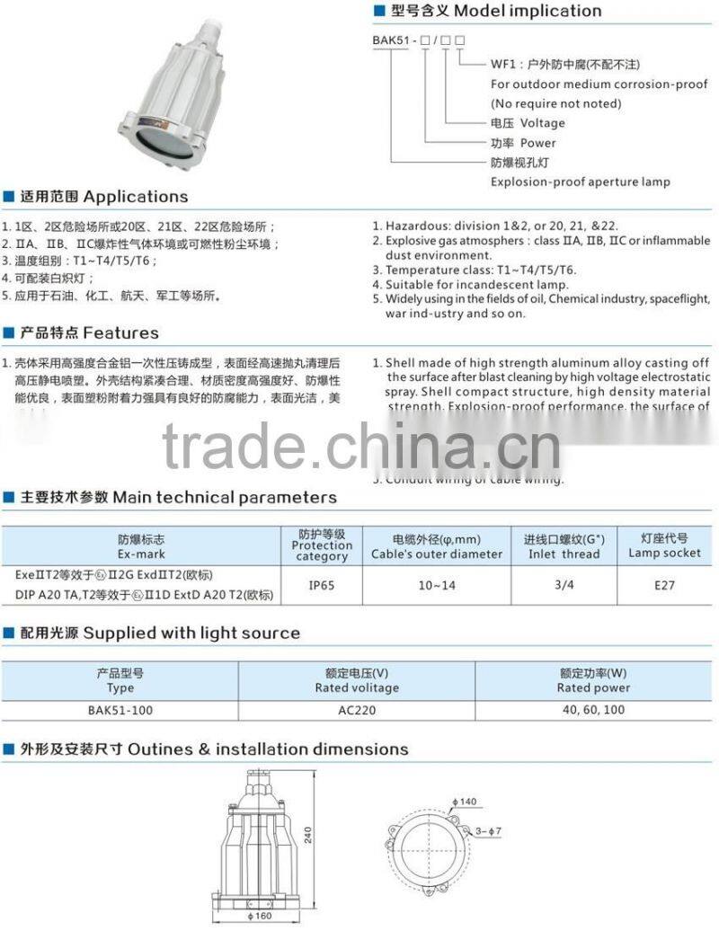 BAK51-Explosion proof inspection hole lamp