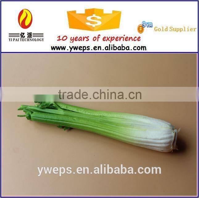 Hot Sale Artificial Vegetable Fake Vegetable Foam Vegetable With Natural Touch Vegetable