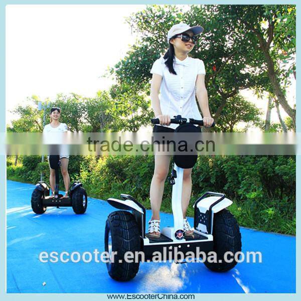 19 Inch Shock-Absorb Hire Pride Mobility Scooter: Rascal and Fast with 20 Km Per Hour